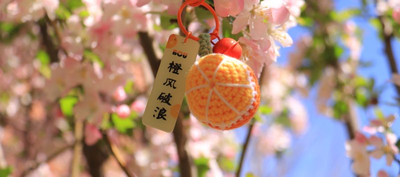 经济管理学部-北城论坛